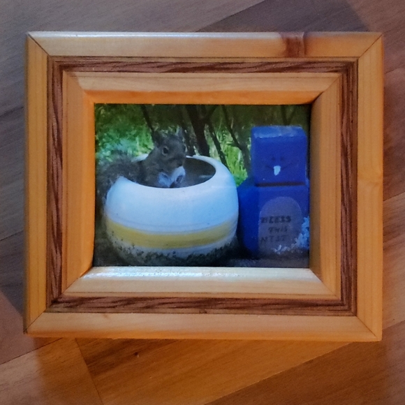 Orig. Glass/Framed/Photography By Greyfox Squirrel - Picture 2 of 4